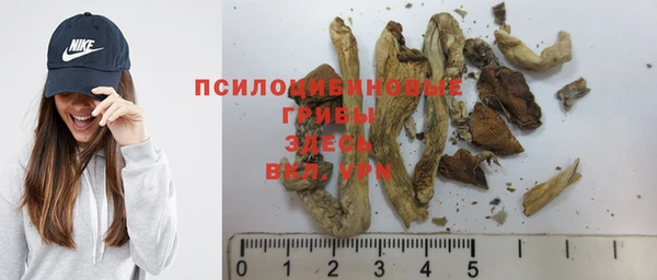 твердый Арсеньев