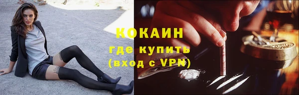твердый Арсеньев