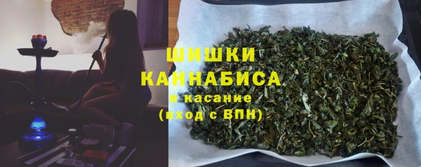 твердый Арсеньев
