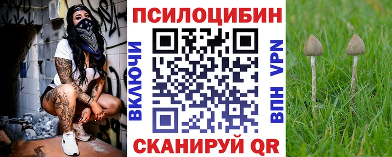 купить наркотик Певек ссылка на мегу рабочий сайт Псилоцибиновые грибы GOLDEN TEACHER